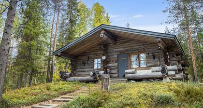 Salmentieva 2 by Interhome