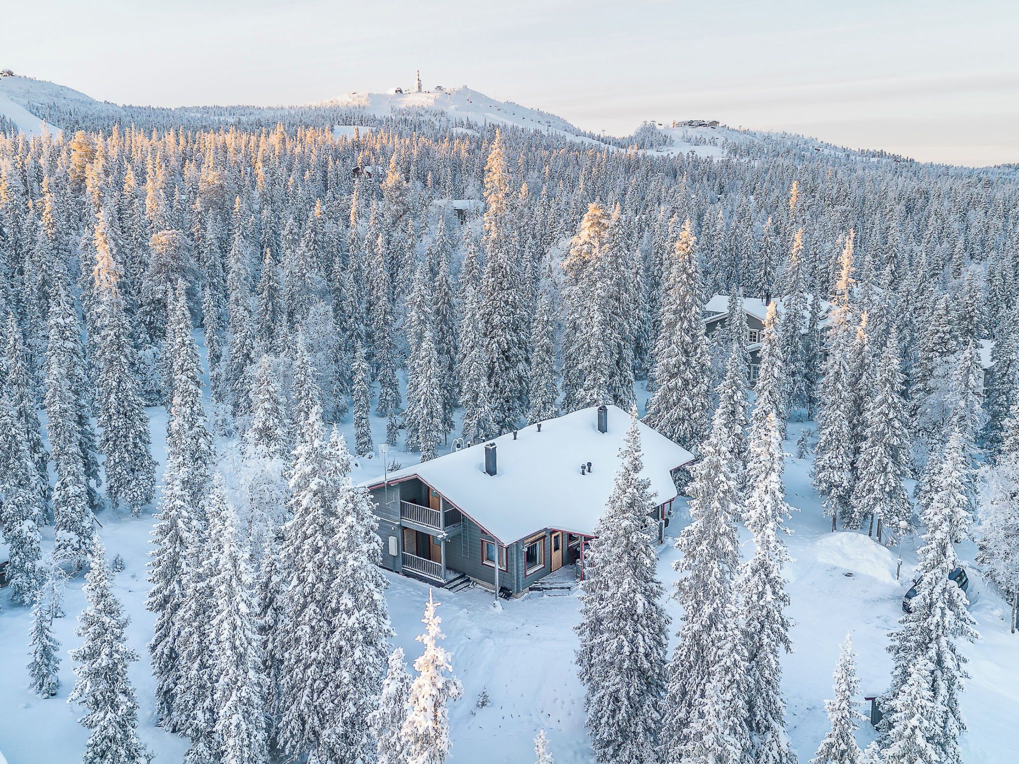 Eine Hütte, umgeben von einem dichten Wald mit schneebedeckten Bäumen.