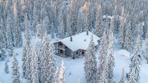 A cabin surrounded by a dense forest of snow-covered trees, with a clear view of the surrounding landscape.
