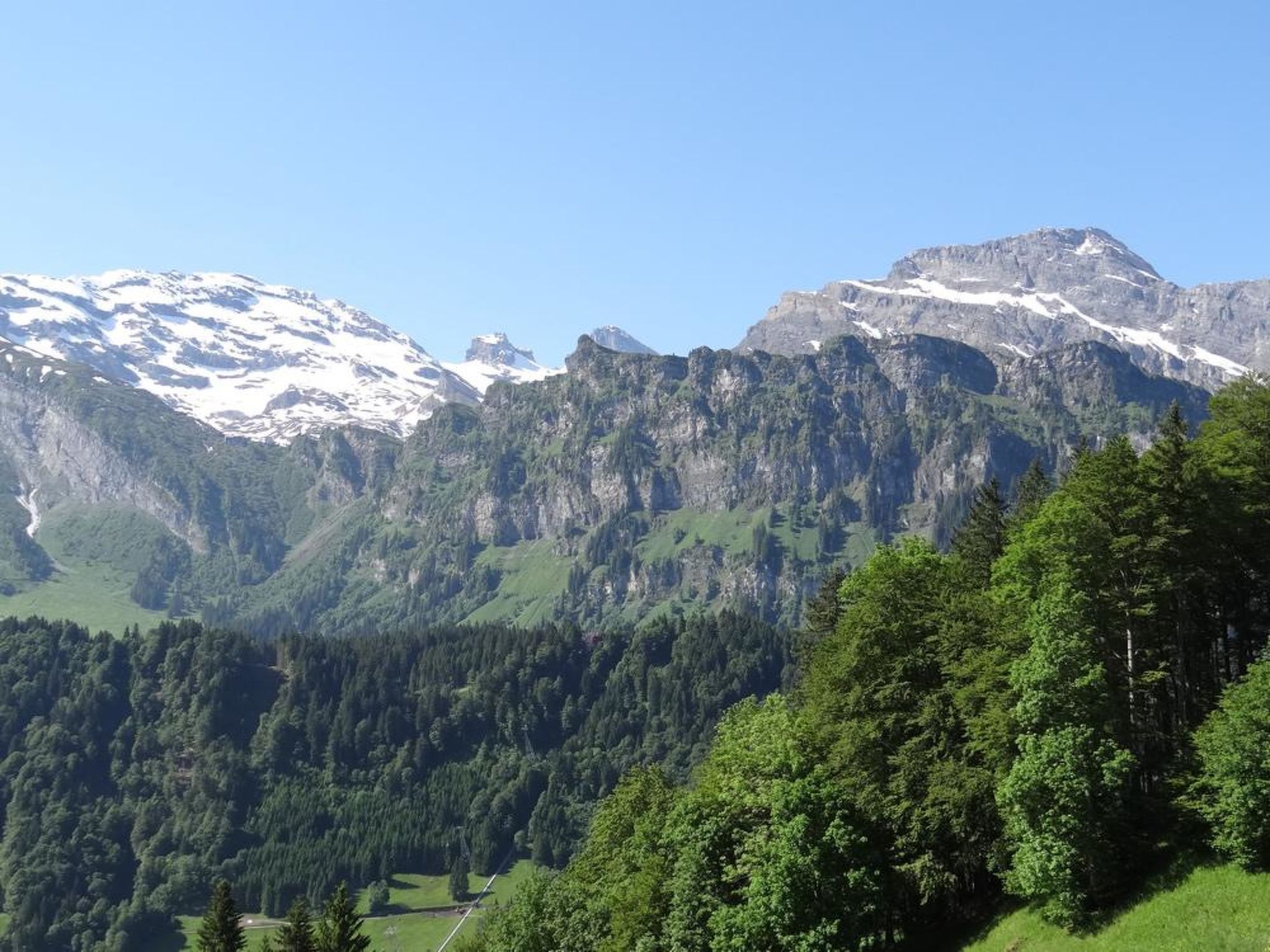 A mountainous landscape with snow-capped peaks and dense forest.