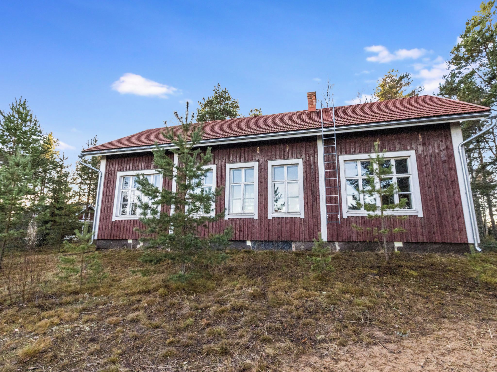 Eksteriør