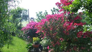 A garden with a variety of flowering plants and a well-maintained lawn. - Il Bosco Delle Torte (Castellinaldo)