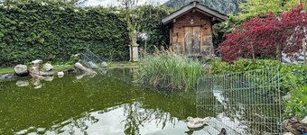 Helmreich by Interhome