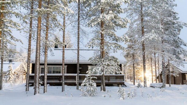 Une cabane entourée d’arbres couverts de neige.