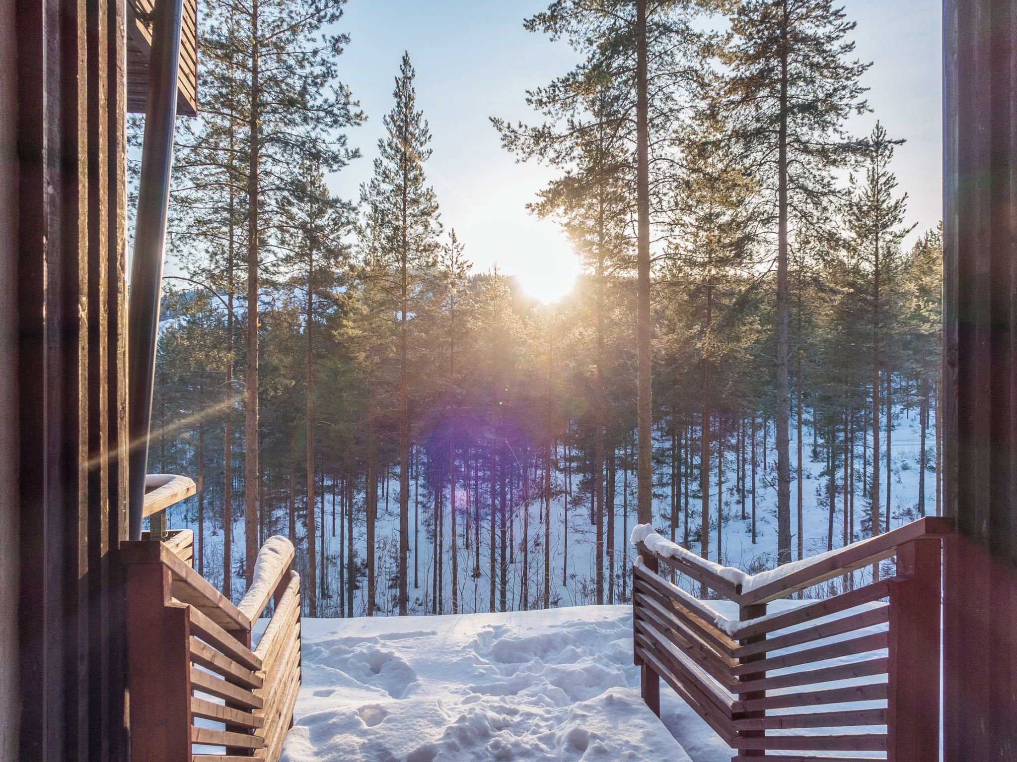 Puinen portaikko johtaa lumiseen metsään, jossa on korkeita mäntyjä ja kirkas taivas.