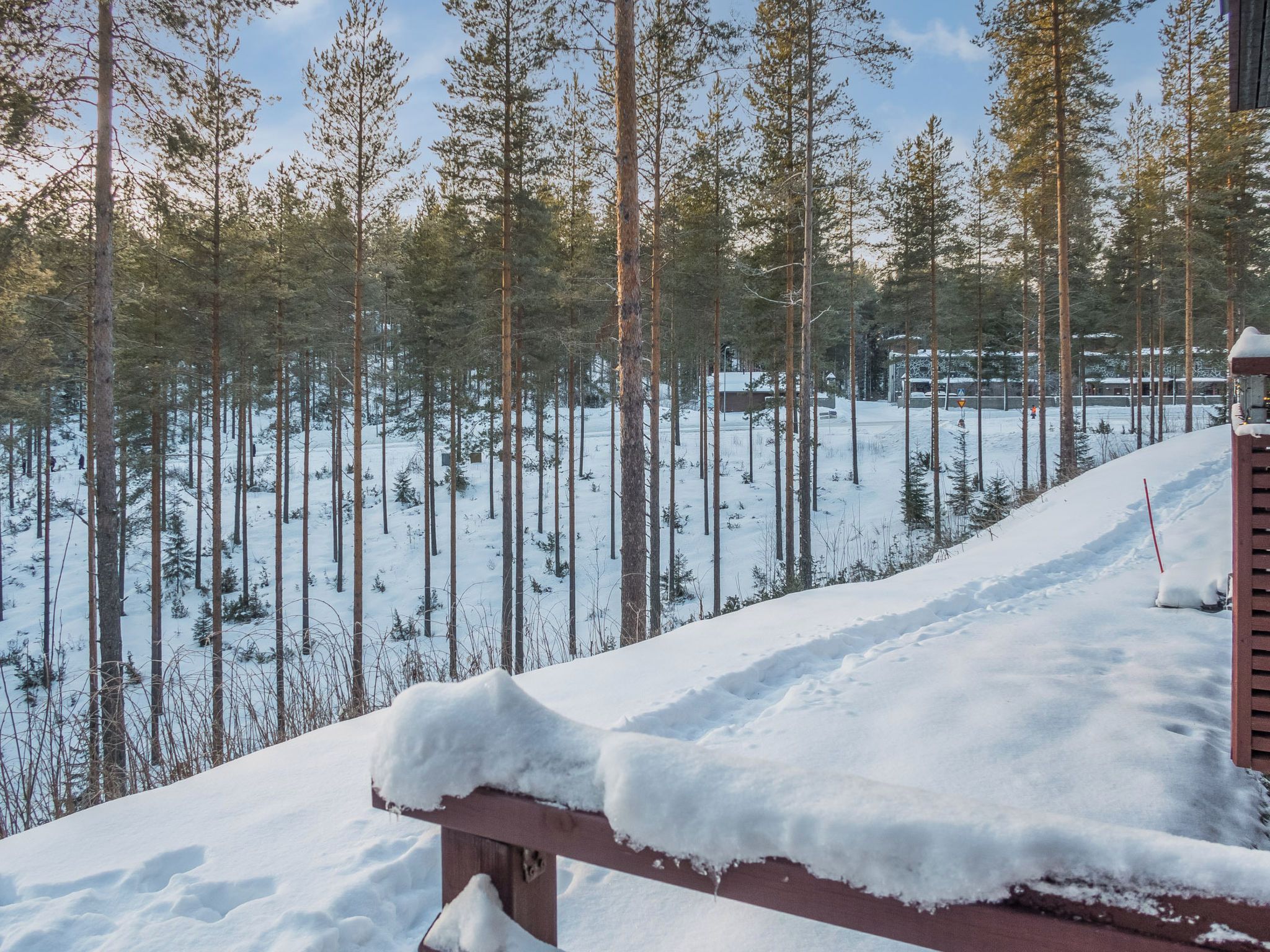 A snowy landscape with a wooden structure and a clear view of tall trees.
