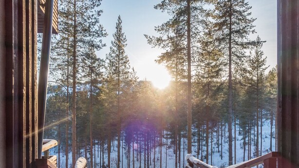 Une cabane en bois avec une terrasse enneigée et une vue sur une forêt.