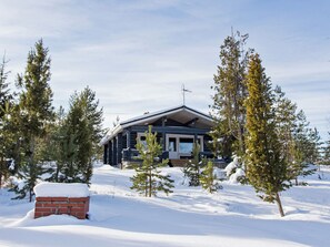 A log cabin with a snow-covered roof, surrounded by evergreen trees and a brick chimney. - Vacation home Norppa by Interhome (Puumala)