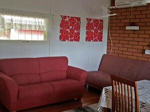 TV, fireplace, DVD player