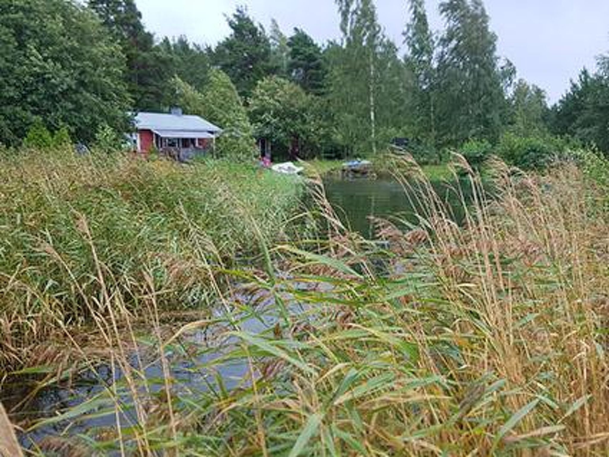 Àrea exterior de l'allotjament