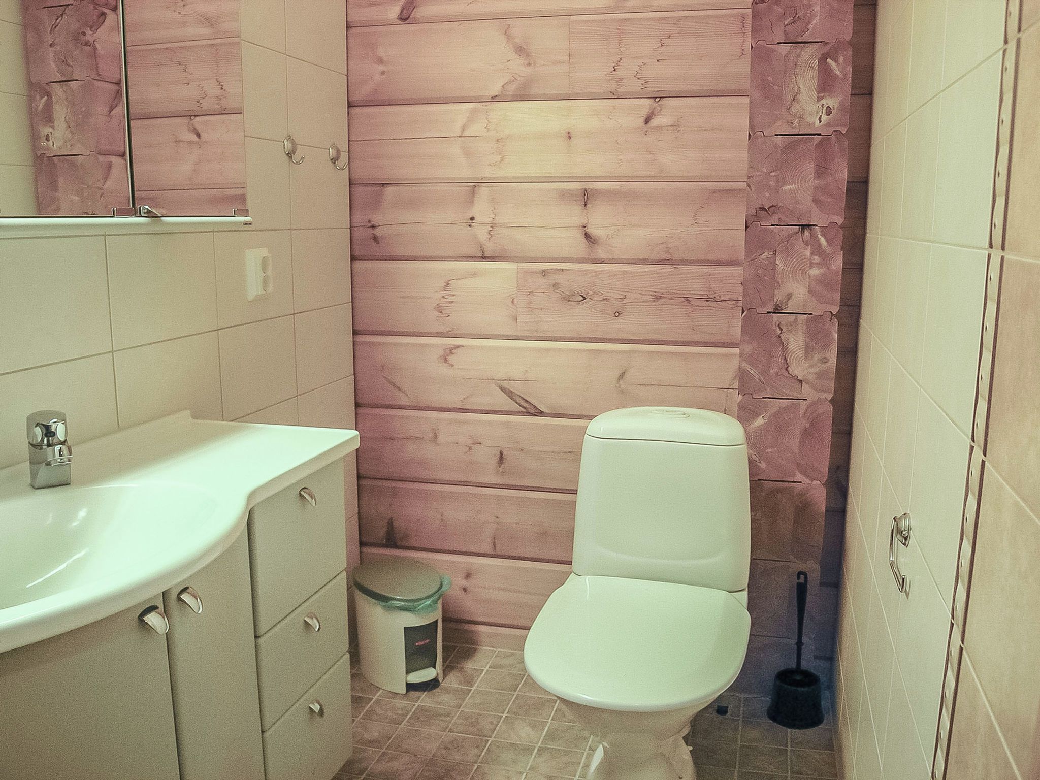 A small bathroom with a white sink, a toilet, and a trash bin.