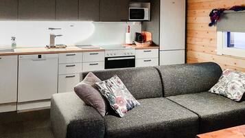 Televisio, DVD-soitin