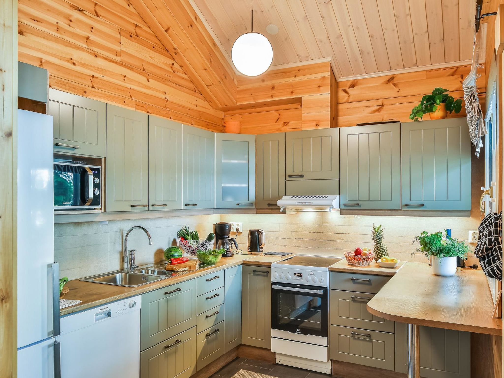 Fridge, microwave, dishwasher, cookware/dishes/utensils