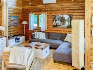 TV, DVD player - Hartolan ilo by Interhome (Hartola)