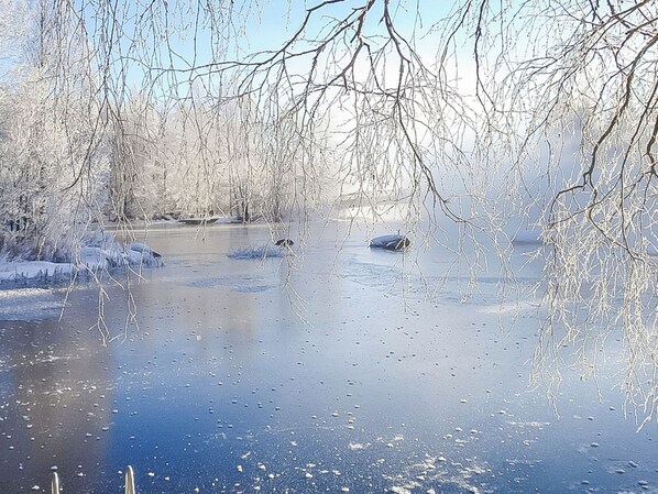 Une rivière gelée, bordée d’arbres sans feuilles et d’un sol recouvert de neige.