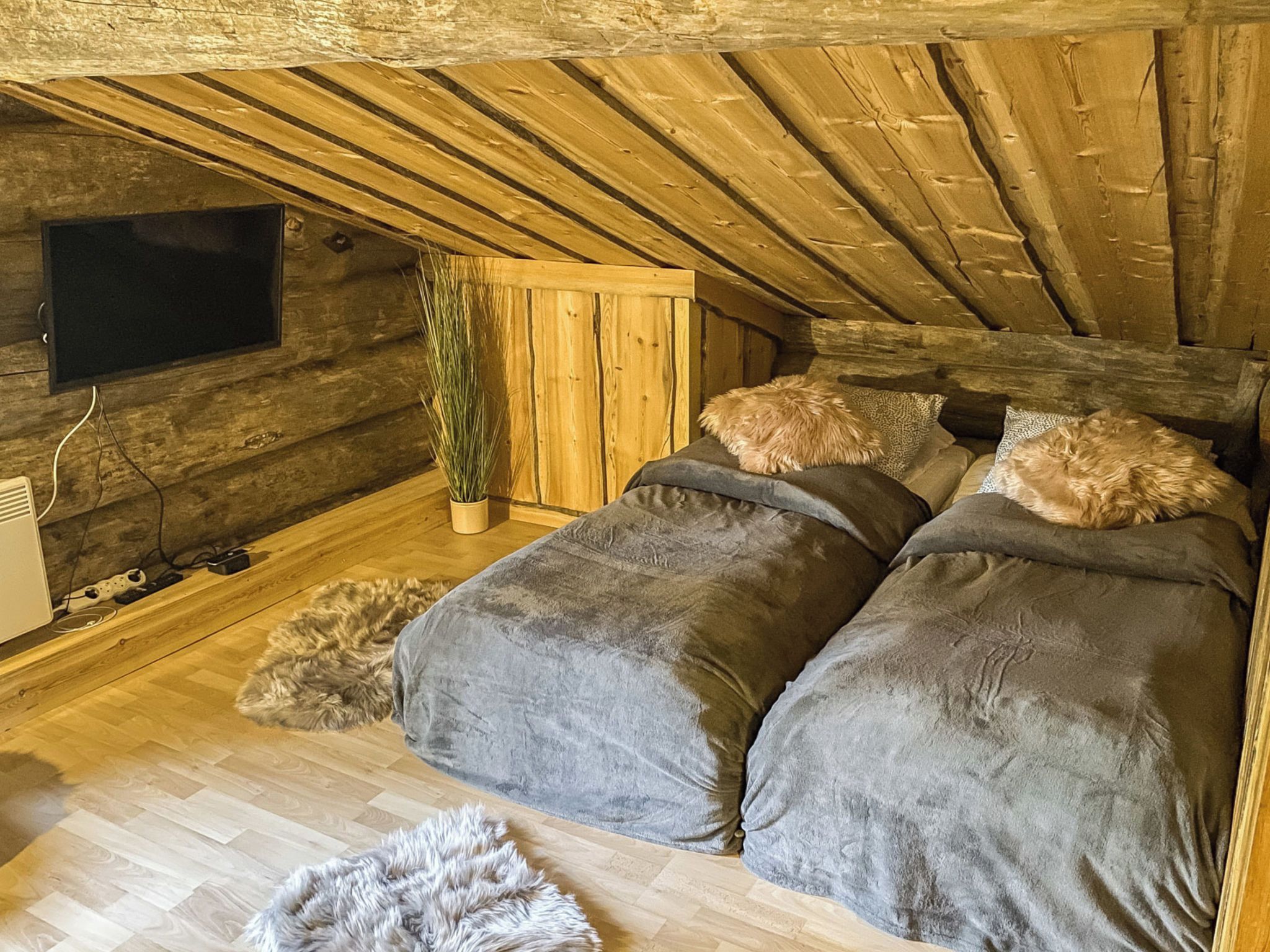 Een gezellige slaapkamer onder de dakpannen met twee bedden, een televisie en een plant.