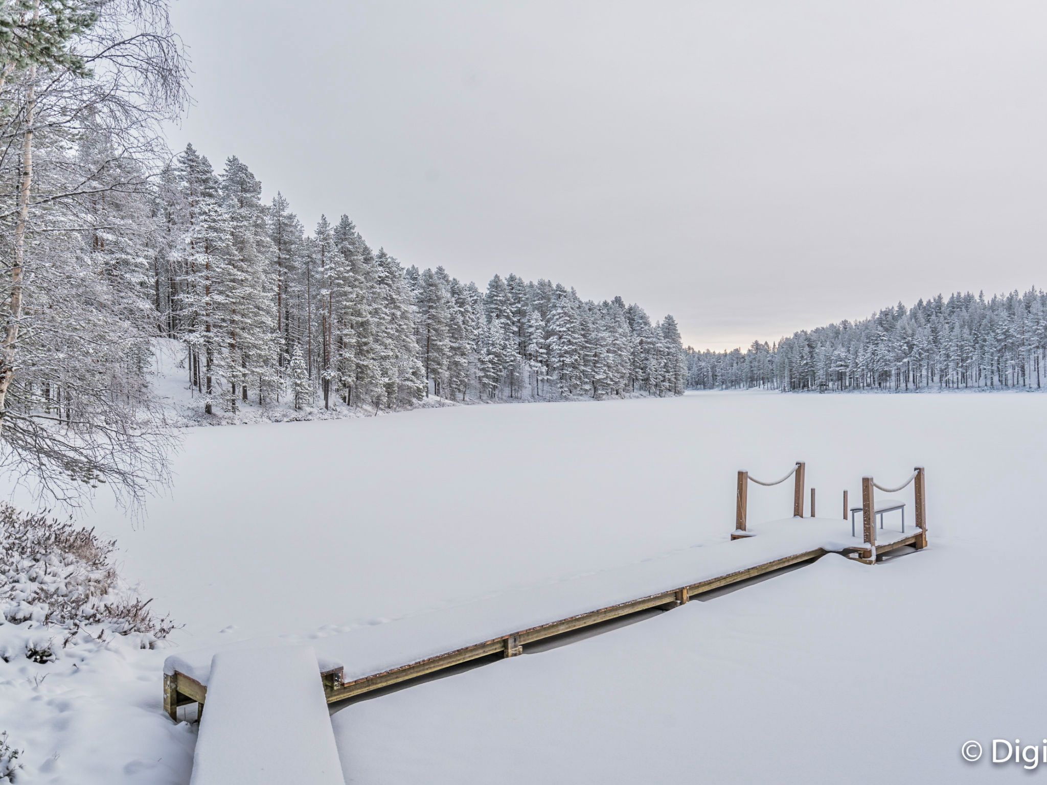A snow-covered landscape with a wooden dock leading to a frozen body of water, surrounded by dense trees.