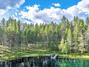 A serene lakeside setting with a wooden dock extending into the water, surrounded by dense forest.