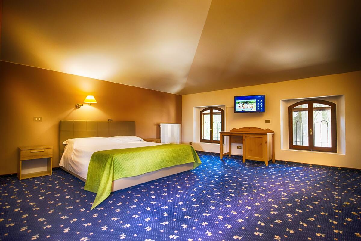 Una habitación de hotel con una cama, un escritorio, un televisor y dos ventanas.