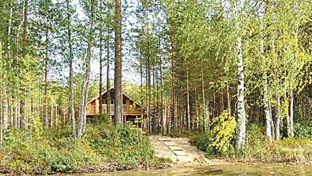 Een chalet omringd door hoge bomen en een waterpartij.