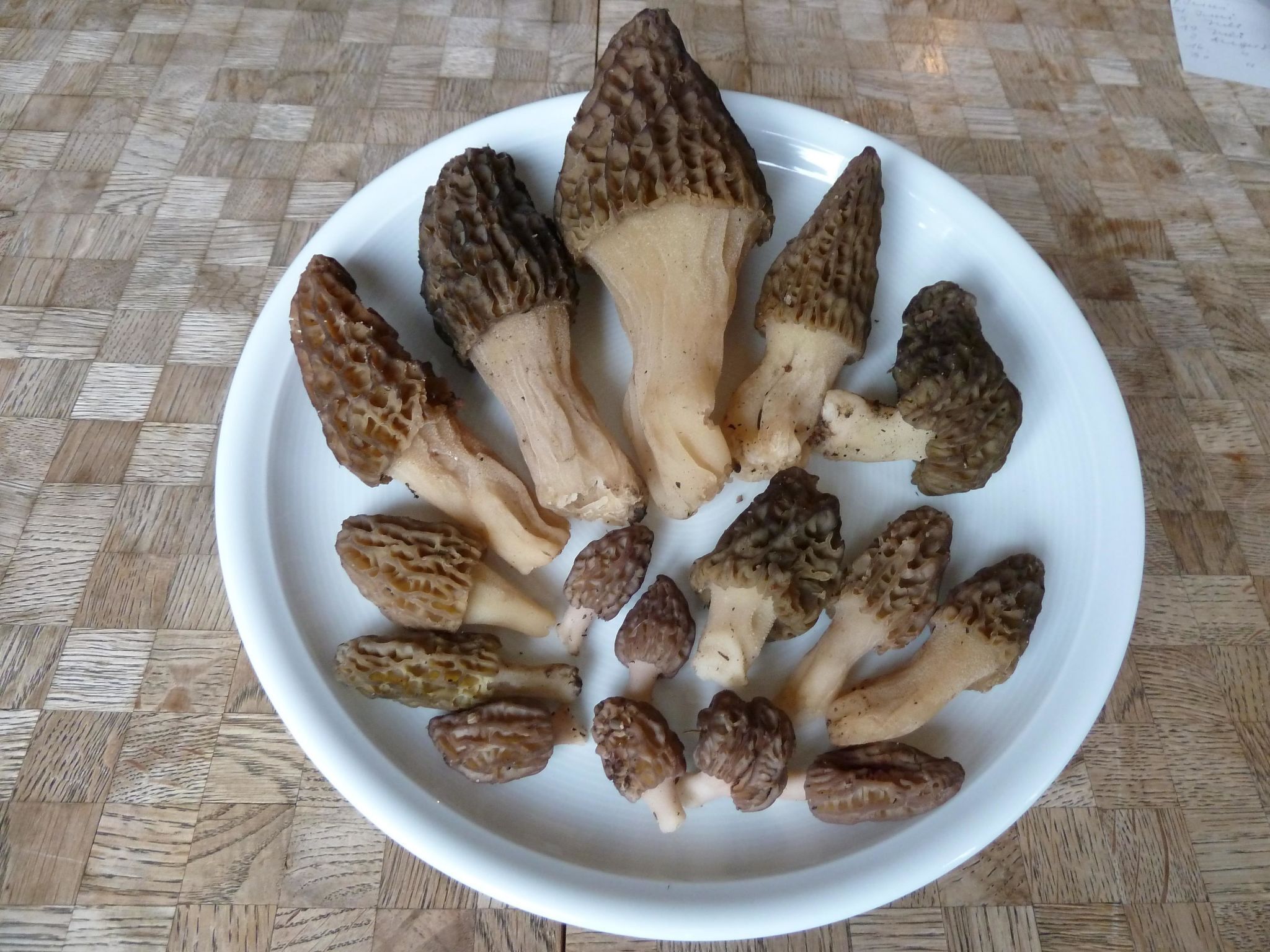 A white plate with various types of mushrooms on a wooden table.