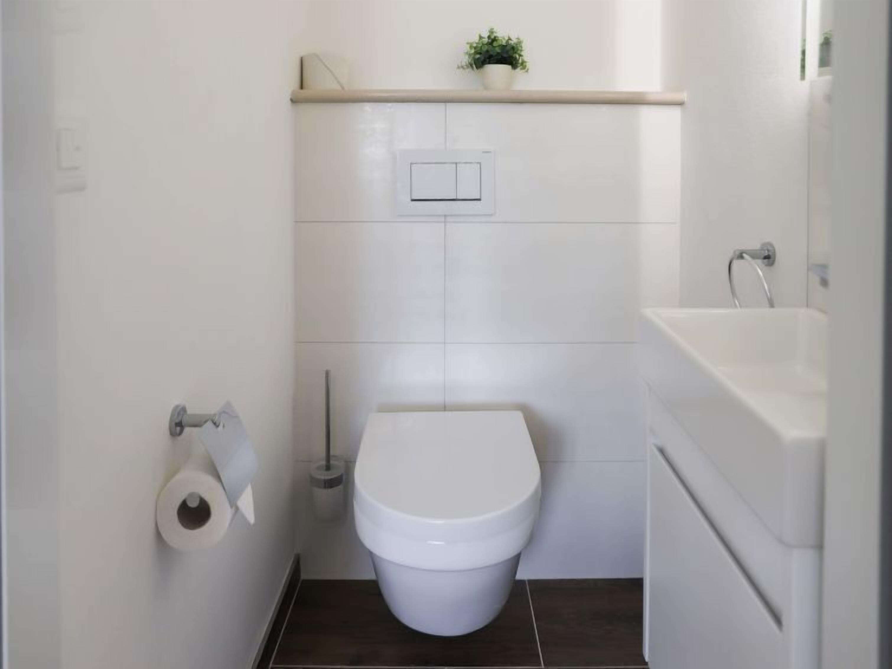 A small, modern bathroom with a toilet, a sink, and a small shelf with a plant.