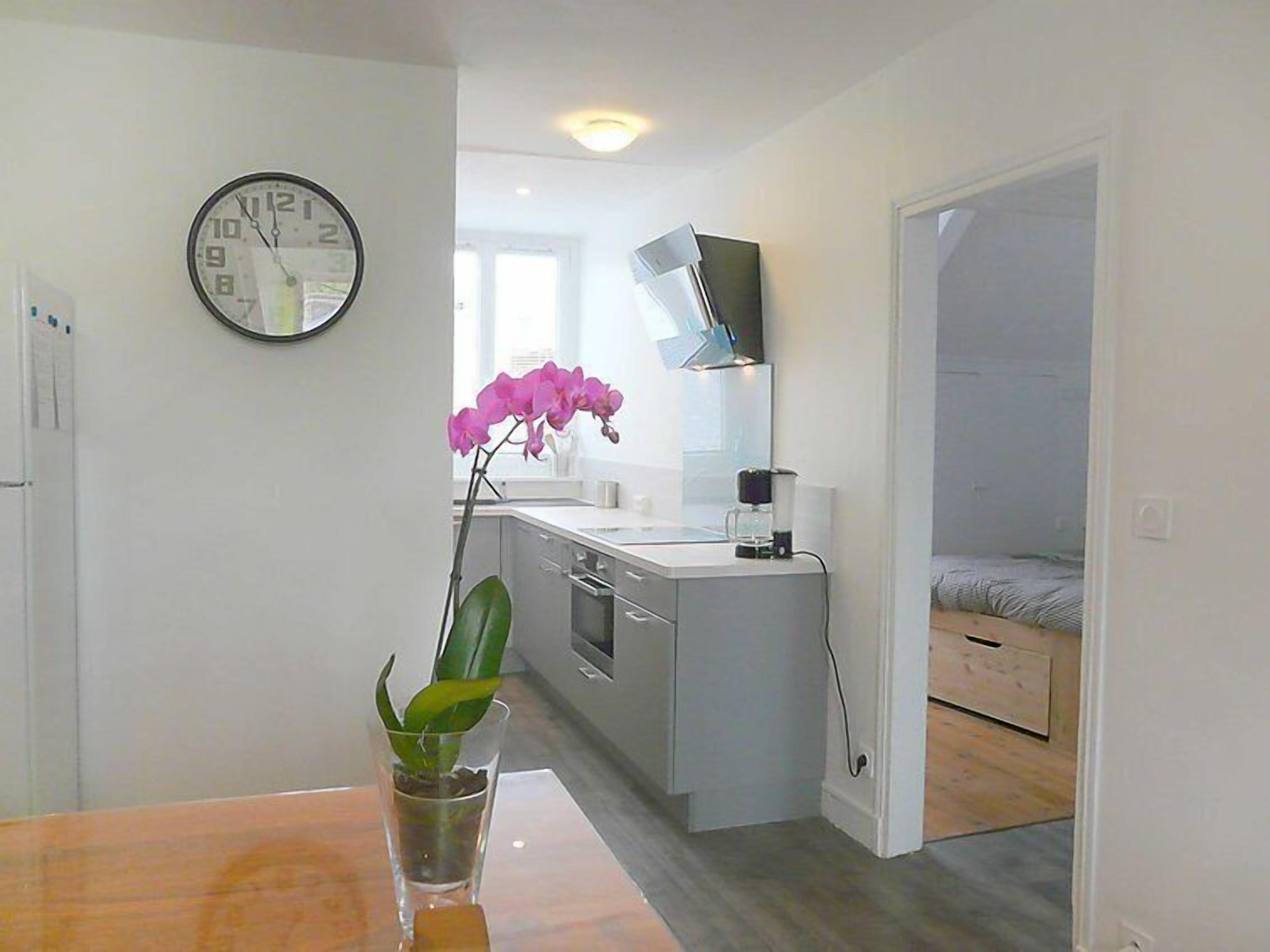 Fridge, dishwasher, cookware/dishes/utensils