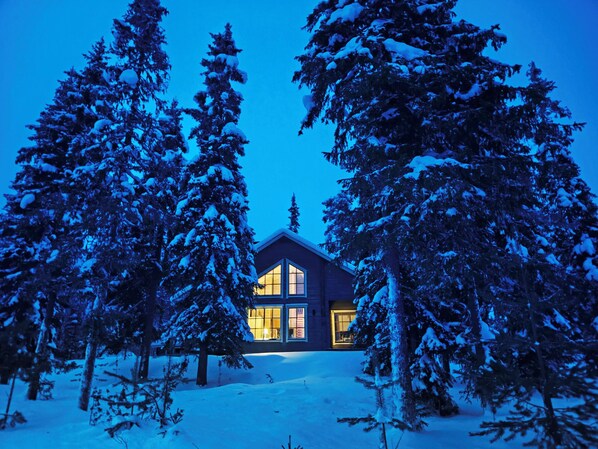 A cabin surrounded by snow-covered trees at dusk.