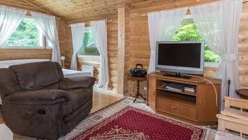 Fernseher