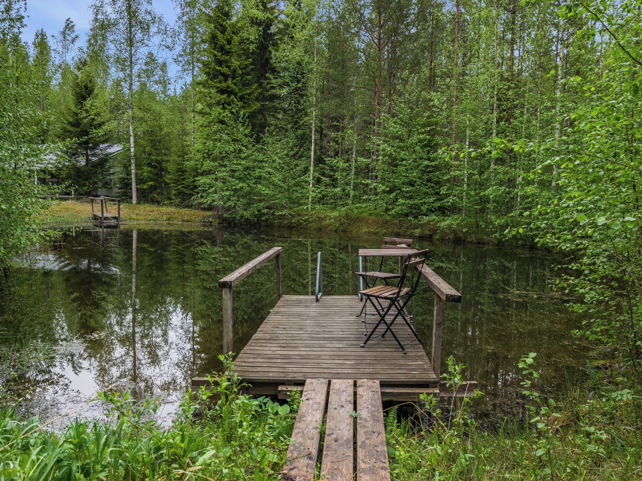 Puinen laituri, joka ulottuu tyynen järven ylle, ja järveä ympäröi tiheä metsä.