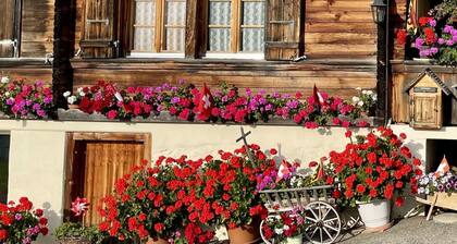 Panoramaferienwohnung Waldkircher by Interhome