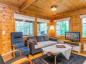 A cozy cabin interior with a sofa, armchair, and a television on a stand. - Metsola / huilinpaikka by Interhome (Kerimäki)