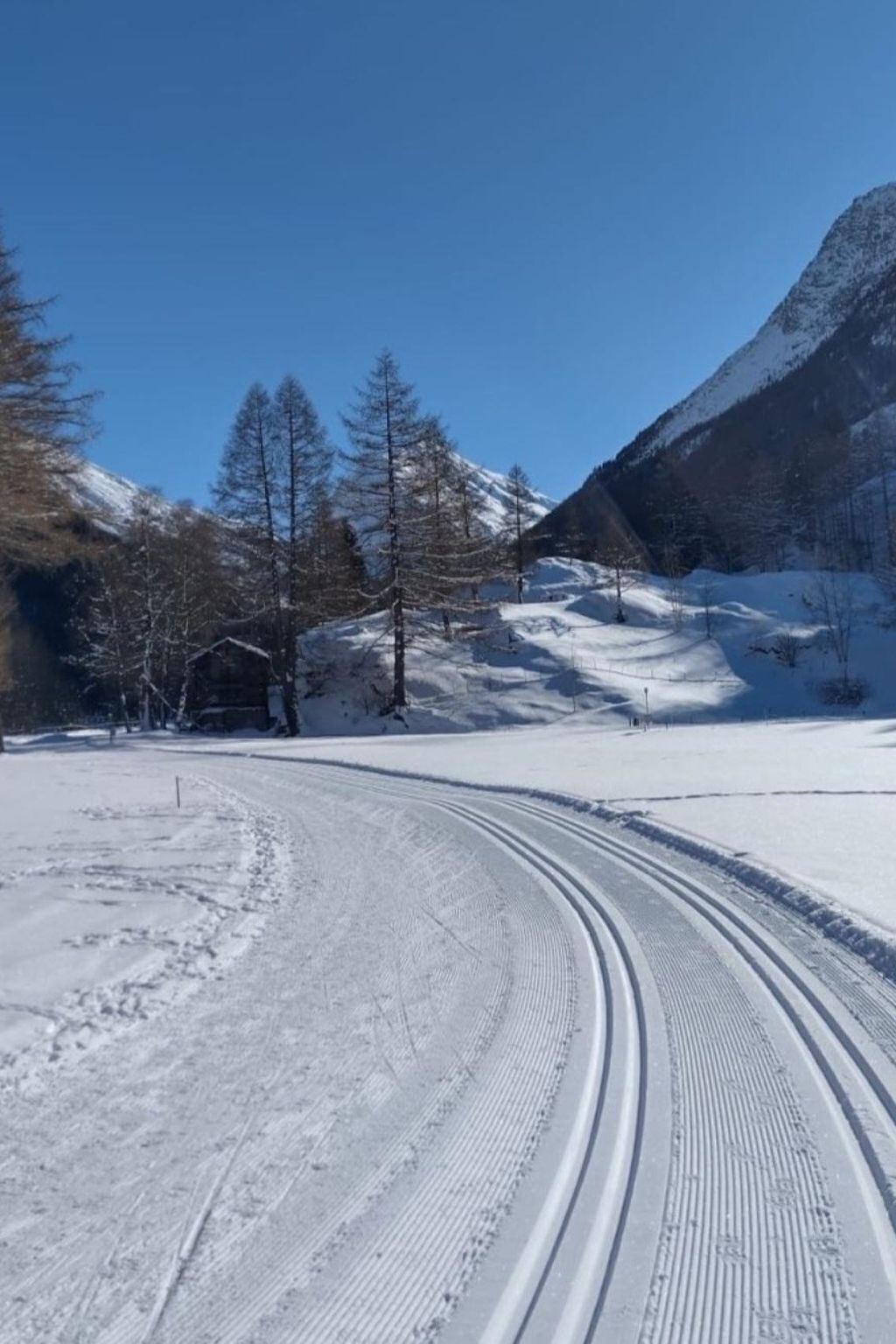 Sneeuw- en skisporten
