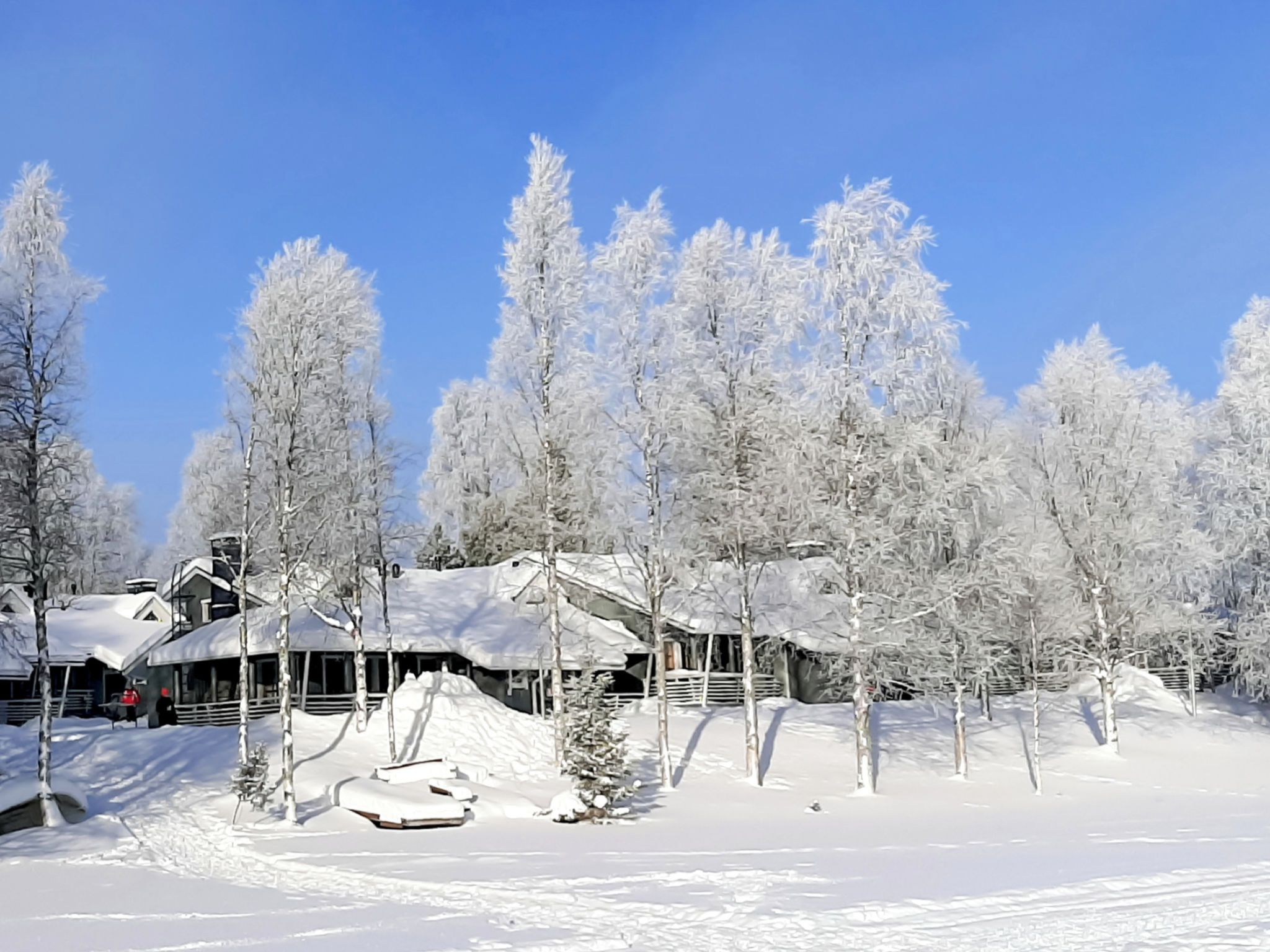 Schneebedeckte Landschaft mit einer Holzhütte und Bäumen.