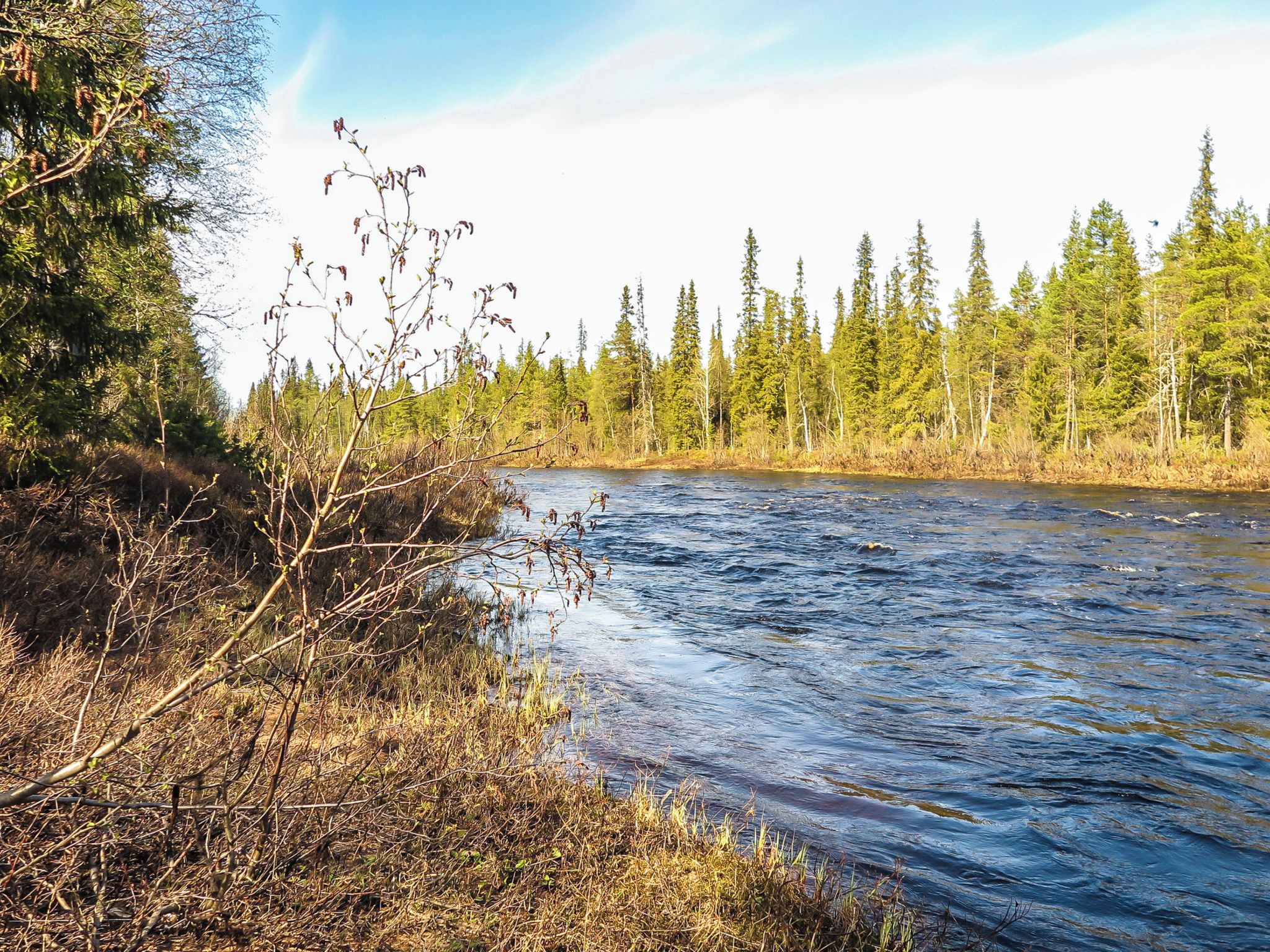 En flod med en skog på ena sidan och en klar himmel ovanför.