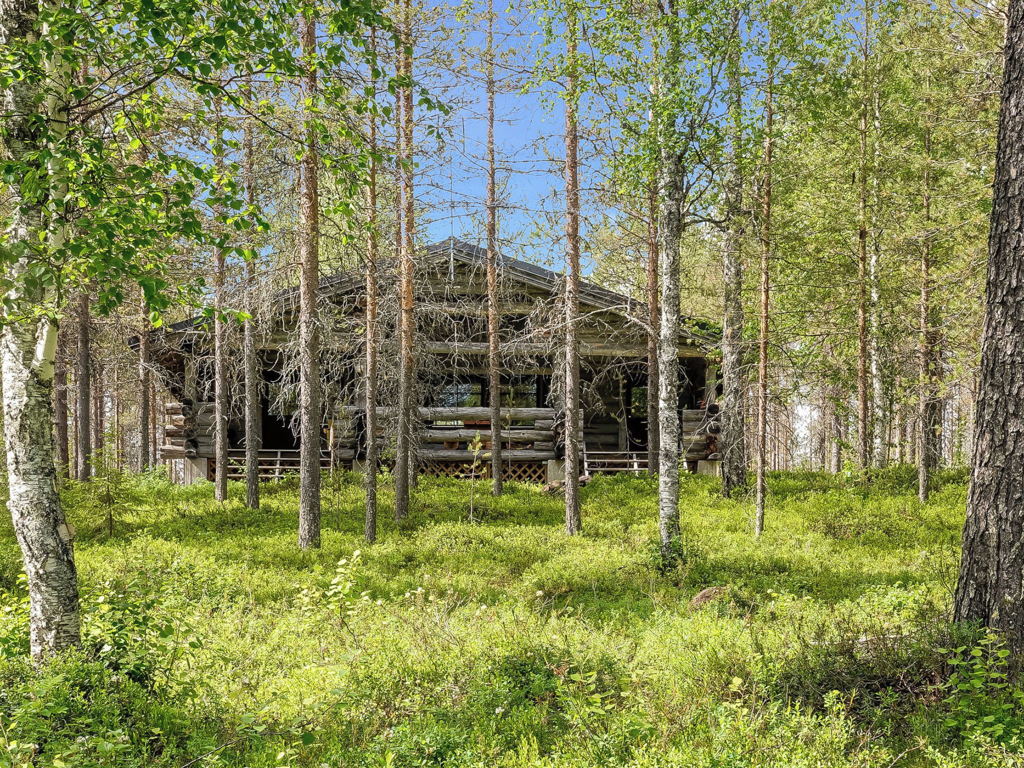 A rustic cabin surrounded by a forest with a clear sky.
