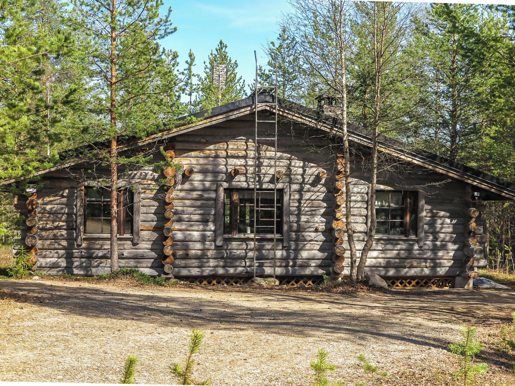 A log cabin with a ladder leading to the entrance, surrounded by trees.