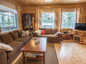 تلفزيون، مشغل دي في دي