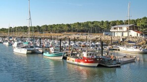 A marina with multiple boats docked, a rocky shoreline, and a building with a balcony.