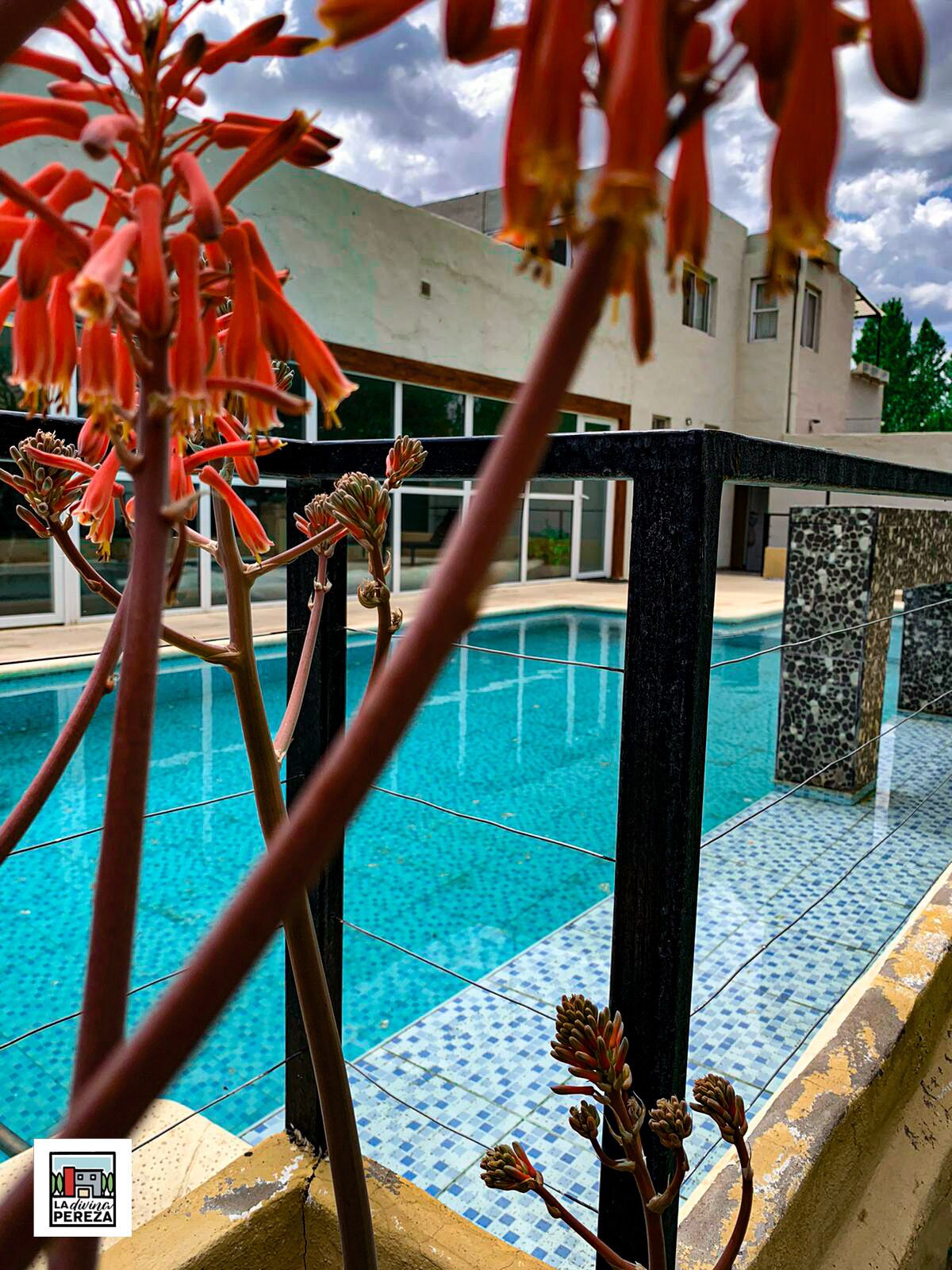 Une piscine à l’eau d’un bleu cristallin, entourée d’une terrasse carrelée et, au fond, un bâtiment doté de grandes fenêtres.