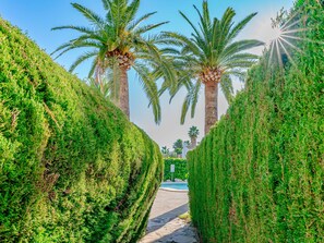 Terrein van de accommodatie