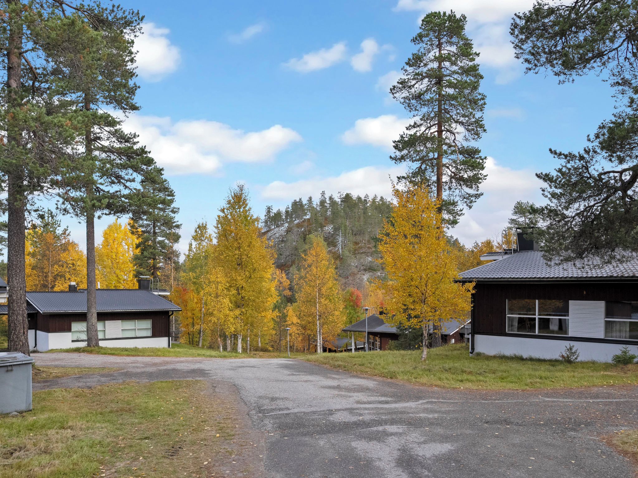 Maalaismaisemassa kulkeva tie johtaa riviin mökkejä, joiden taustalla on metsä.