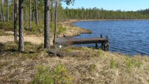 Una escena serena junto al lago, con un muelle de madera que se adentra en el agua, rodeado de altos pinos y un cielo azul despejado.