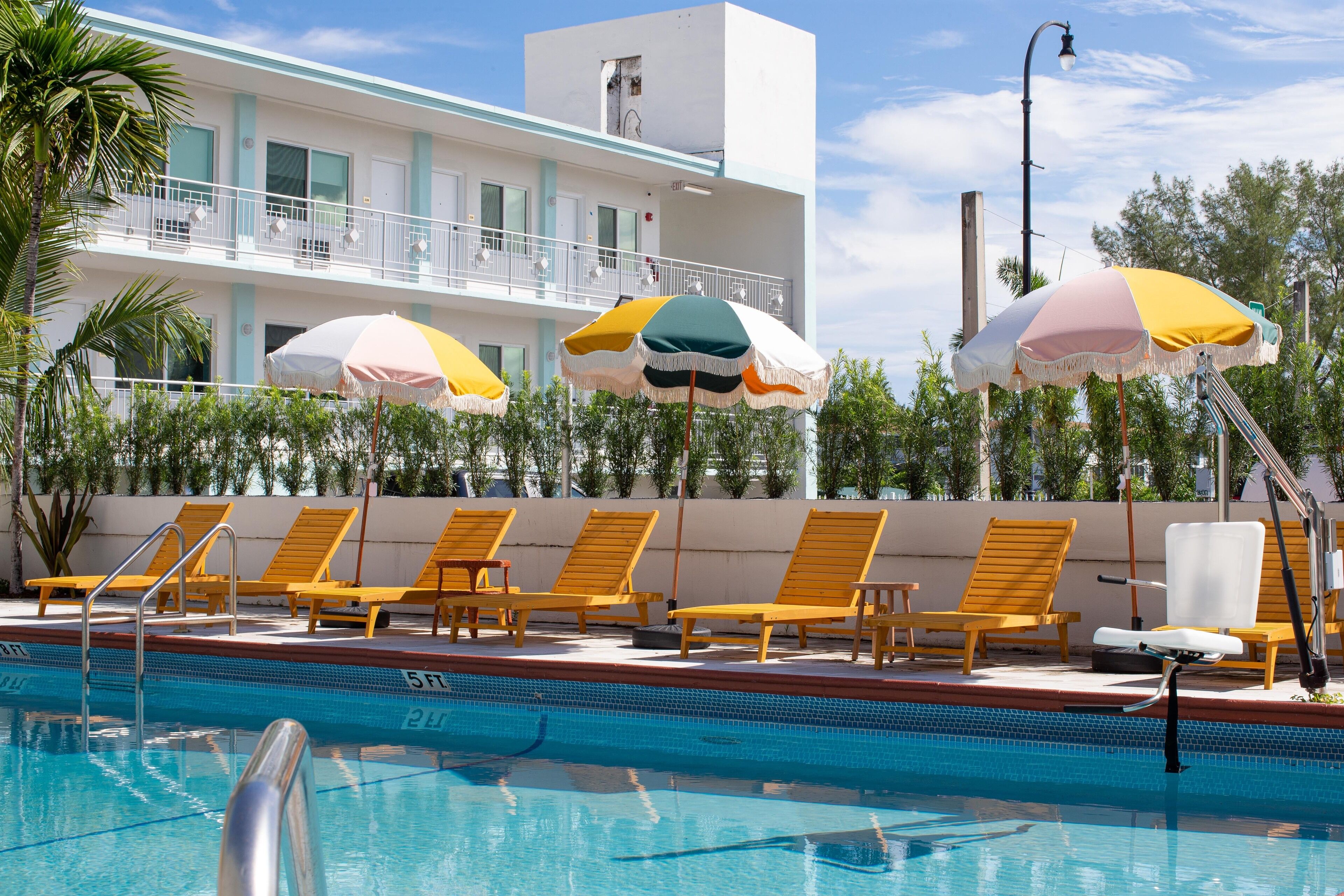 Photo - Selina Gold Dust