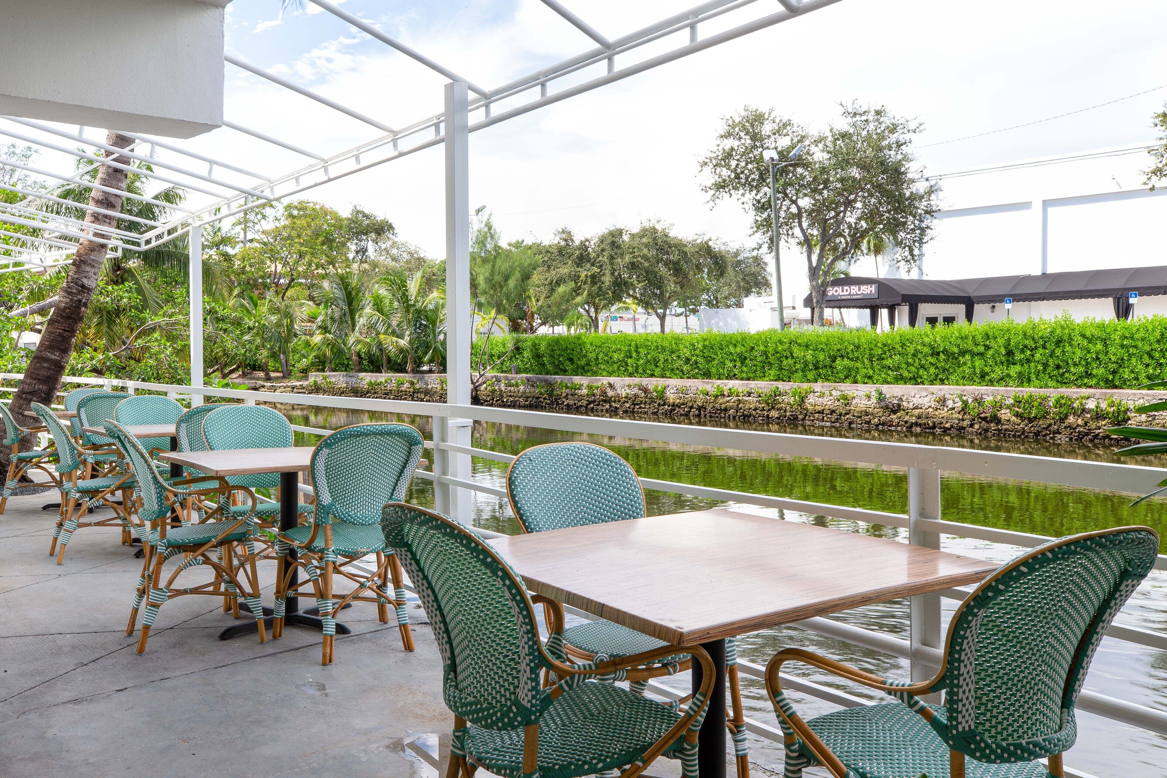 Photo - Selina Gold Dust