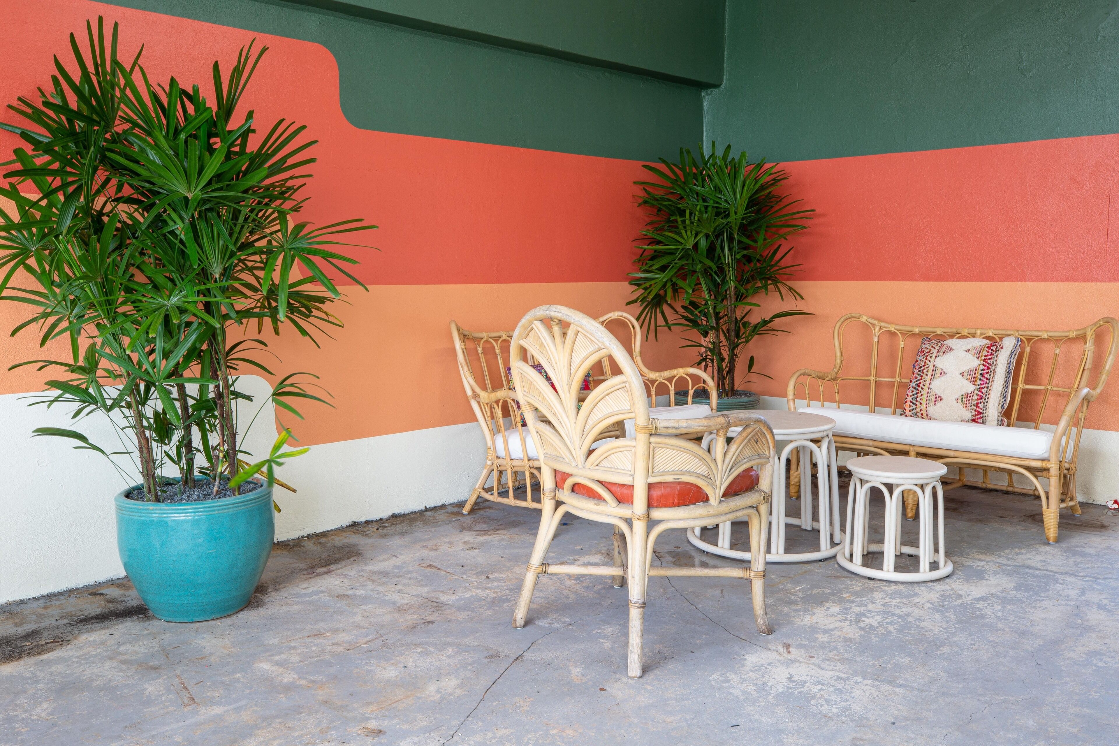 Photo - Selina Gold Dust