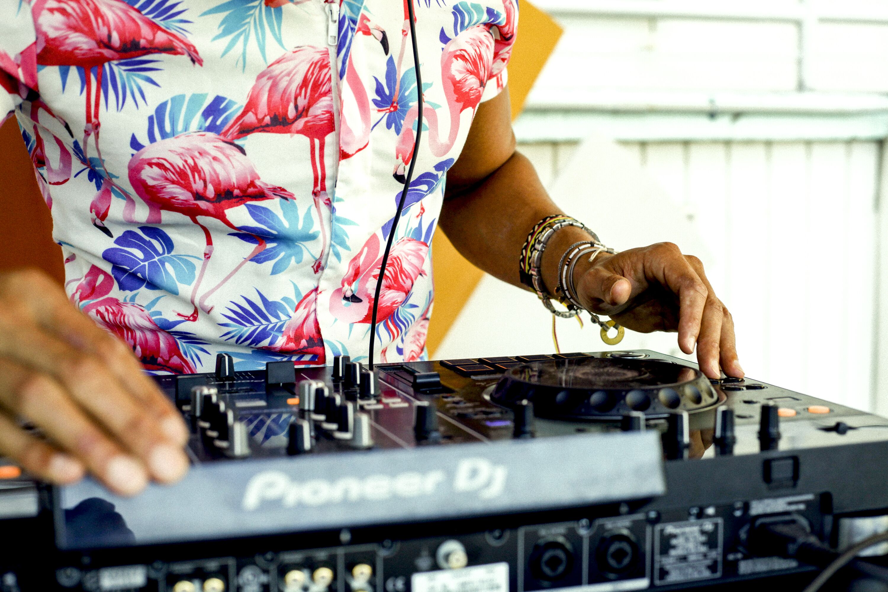 Photo - Selina Gold Dust