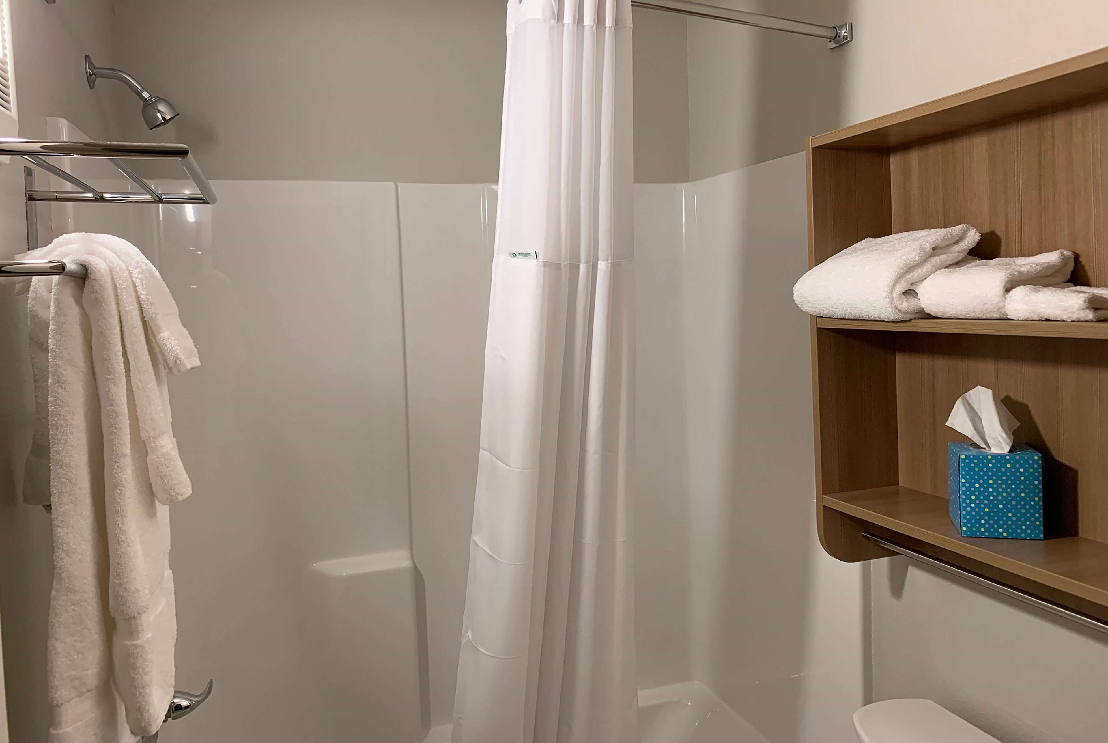combined shower/bathtub, towels