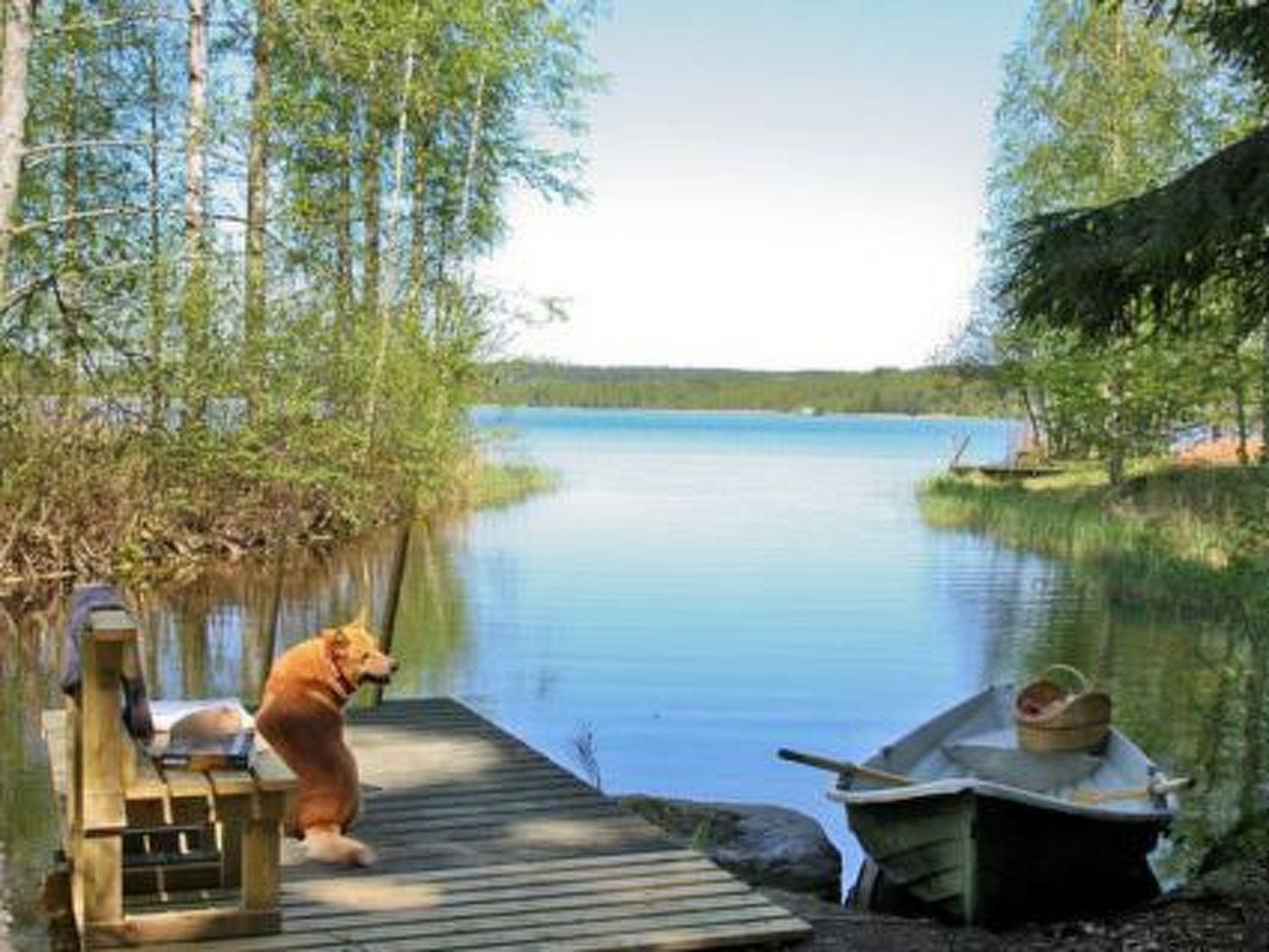 En träbrygga som sträcker sig ut i en stilla sjö, omgiven av träd.