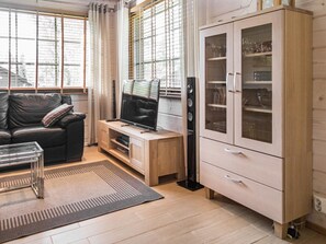 電視、DVD 播放機